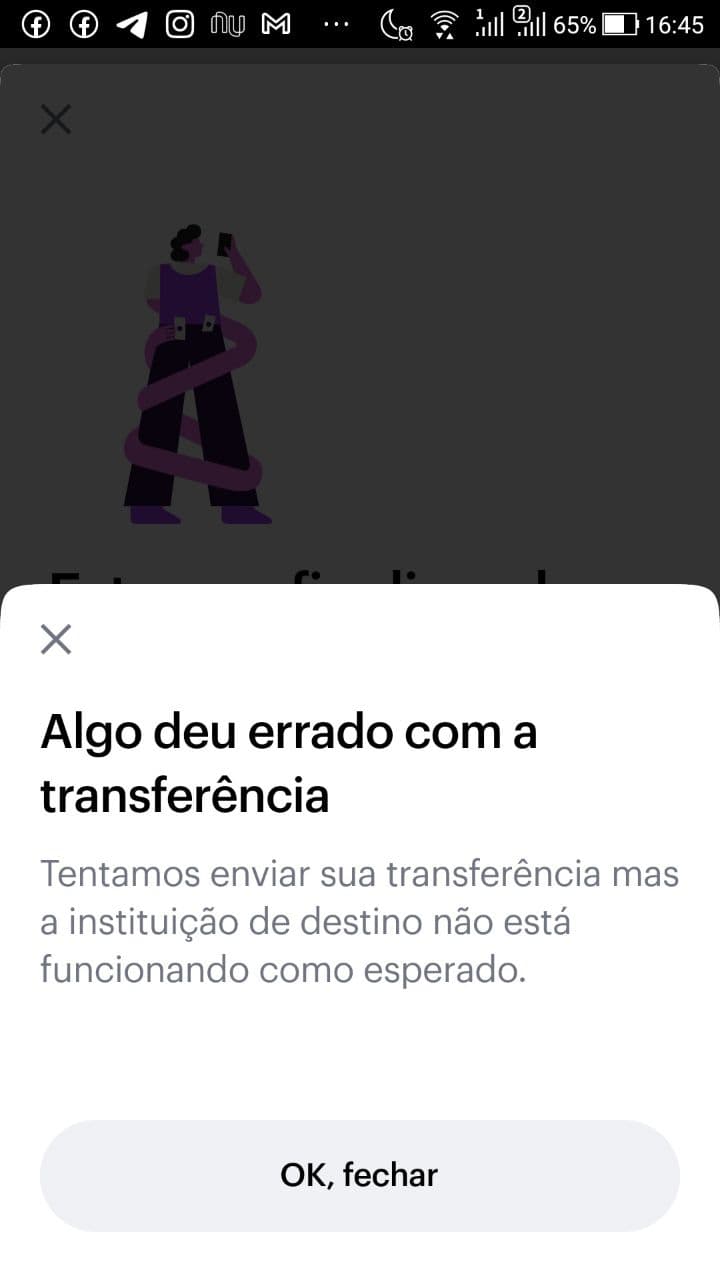 imagem enviada na mensagem pelo usuario paulacastro224023